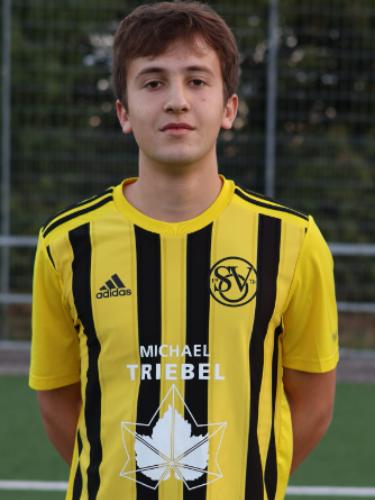 Max Werner Ritter