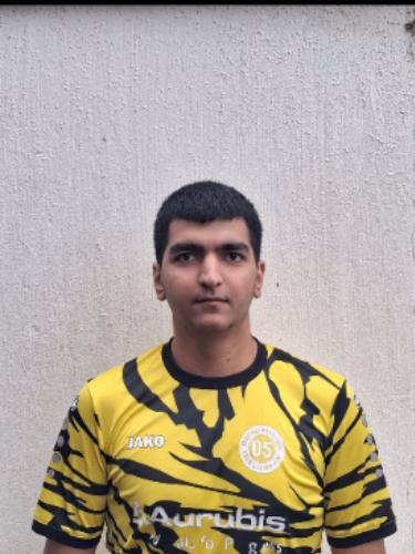 Deniz Celik