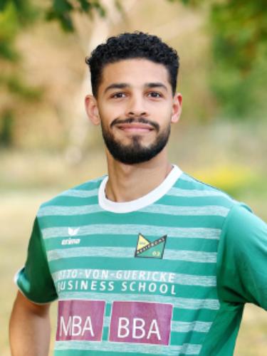 Ahmed Abdelwahab Dawoud