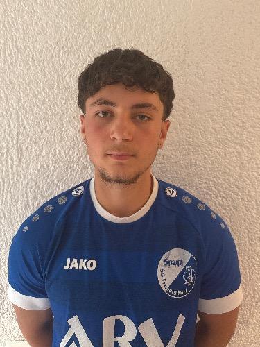 Ledion Qamili