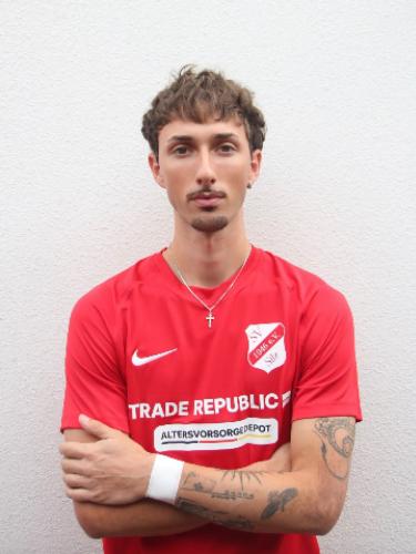 Elio Luigi Vaccarelli