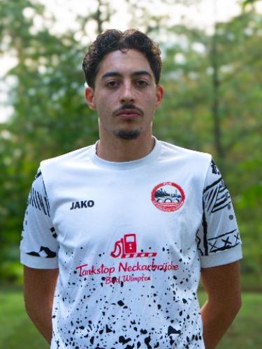 Abdulkarim Alhaj Ali