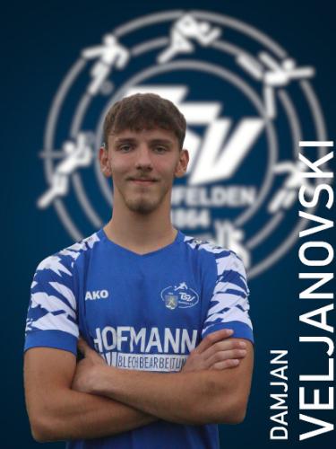 Damjan Veljanovski