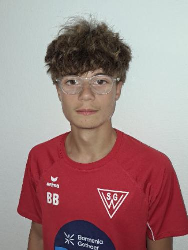 Ben Bertelmann