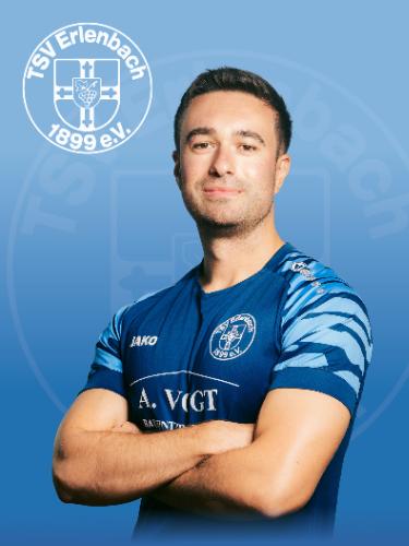 Tarik Palmar