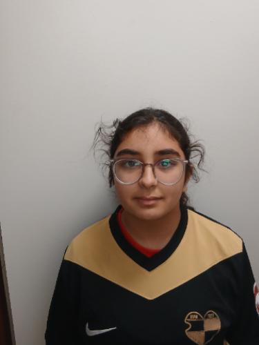 Dunya Wessal