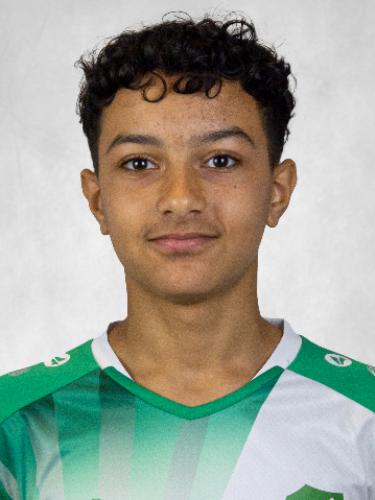 Mohamed Amin Kaout
