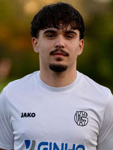 Lenart Hasani