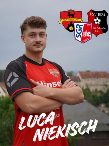 Luca Niekisch