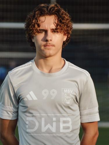Raphael Krause