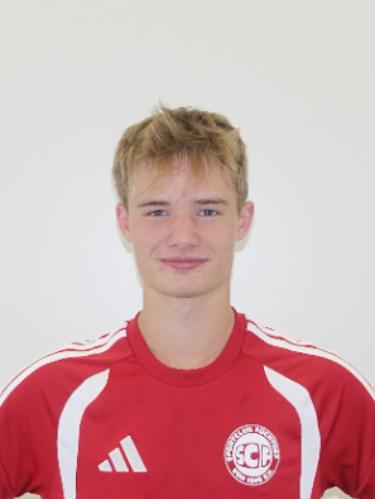 Nico Querdel
