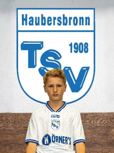 Niklas Scheip