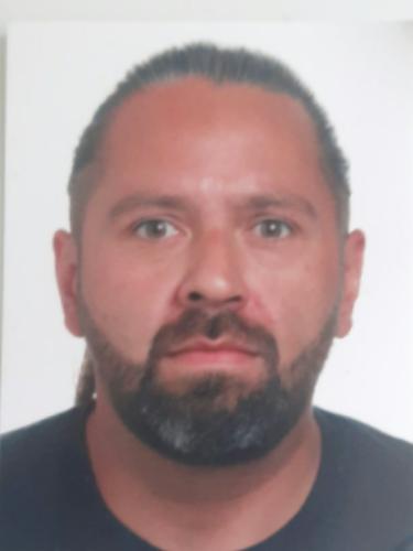 Dennis Mihalic