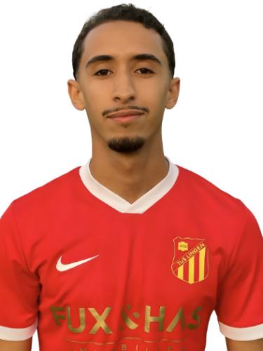 Salaheddine Bouddounit