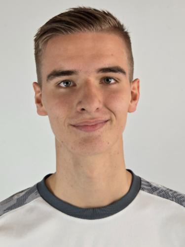 Nico Potjans