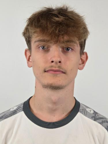 Artem Shkulii