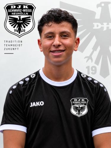 Ali Borghol