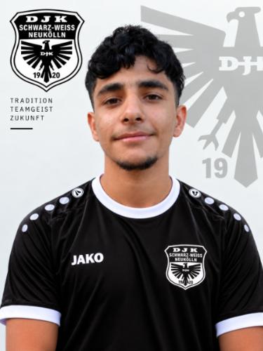 Mohanad M. S. Sari