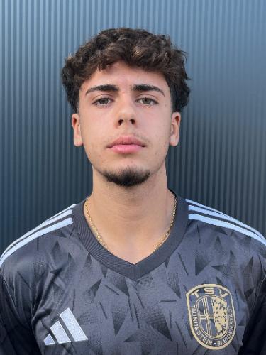 Fabio Losi