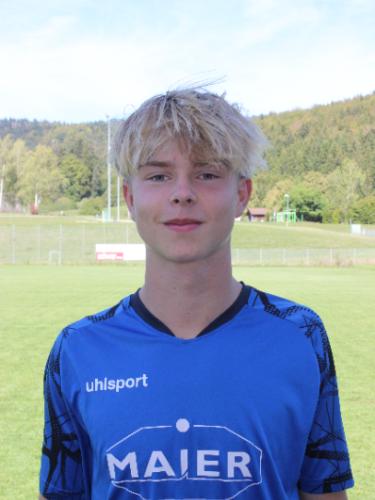 Emil Bauser
