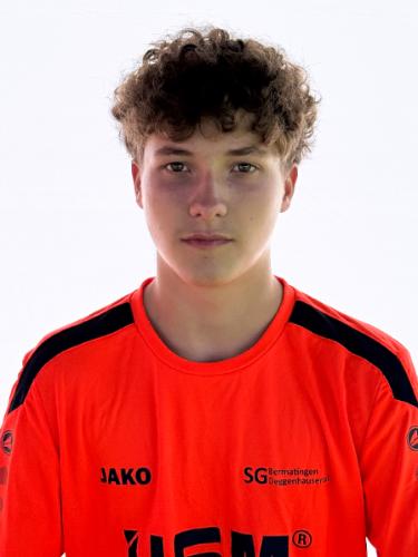 Hannes Uttenweiler