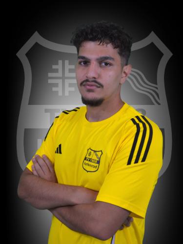 Sadek Ali