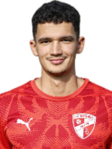 Eldin Ljesnjanin