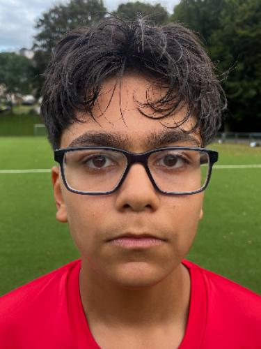 Alamohammad Taghavi