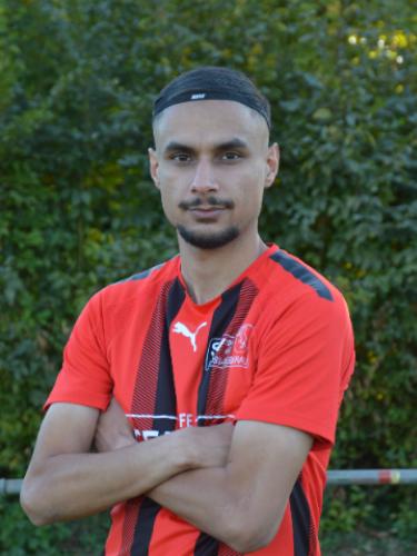 Tolunay Arikan