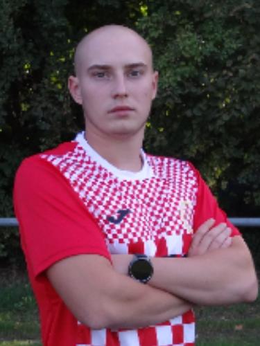 Karlo Ilisevic