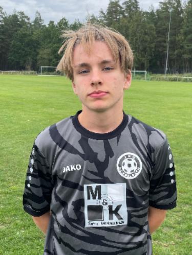 Oskar Davin Linke