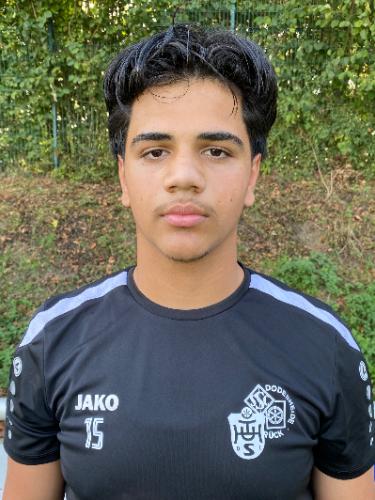 Raman Hussein