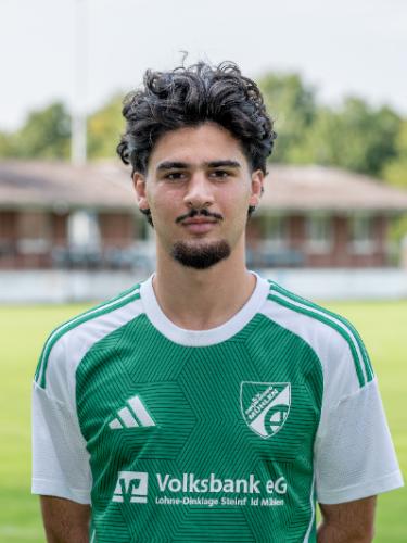 Hüsnü Deniz Ogur