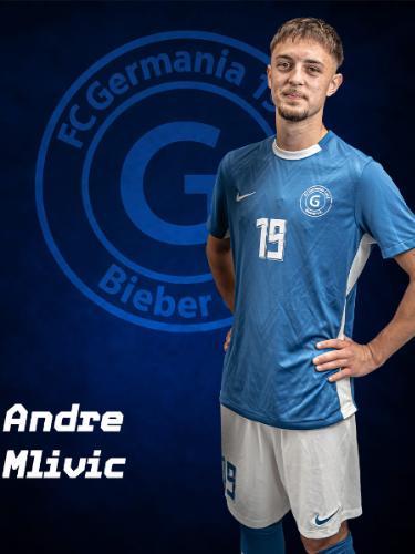 Andre Mlivic