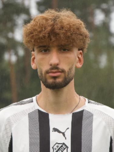 Mirko Engels-Petrovic