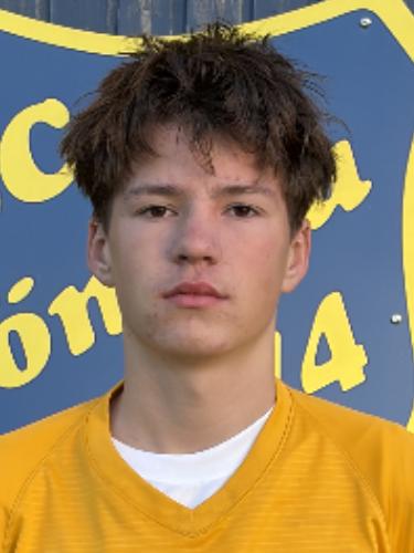 Levin Strungat