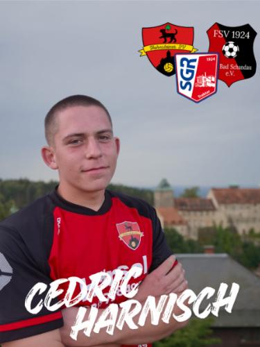 Cedric Harnisch