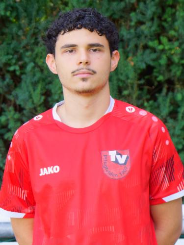 Mihajlo Sinadinovic