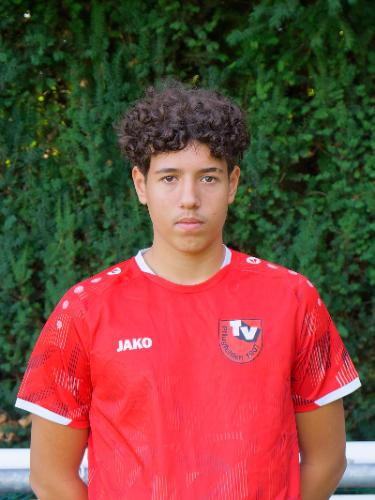 Dominik Walther