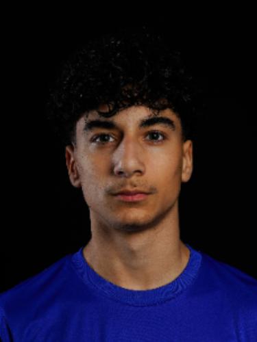 Louis Aydin Akbulut