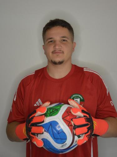 David Simic