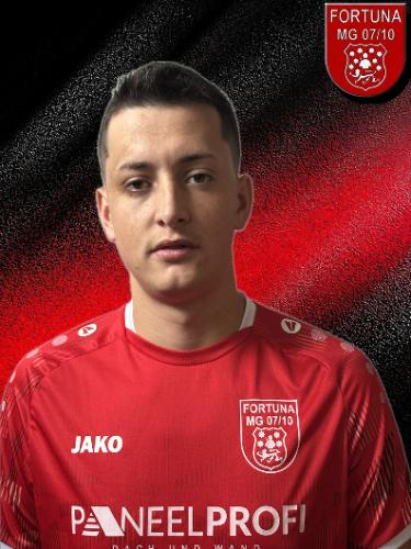 Mihai-Dan Hali