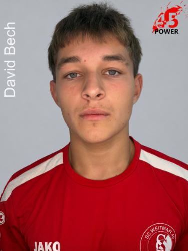 David Richard Bech