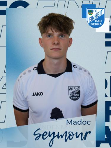 Madoc Seymour