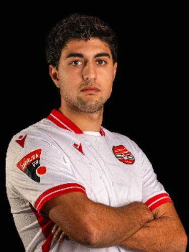 Arel Demir