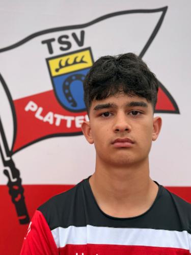 Samuel Wan Hussin