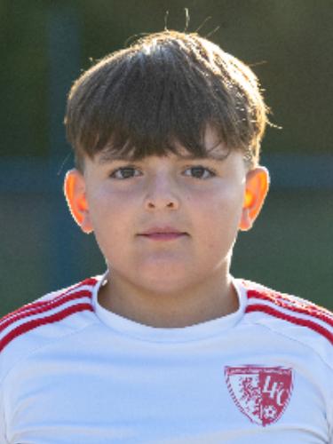 Darmin Smailović