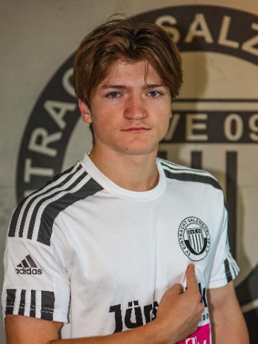 Theo Schnaible