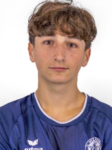 Taylan Hanemann