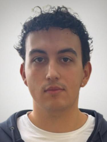 Ahmet Tarik Balli